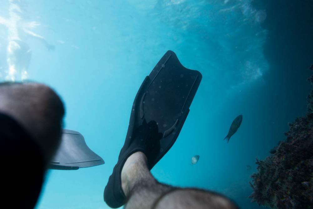 Fonds Marins en Bretagne