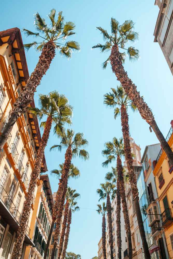 Que faire à Nice