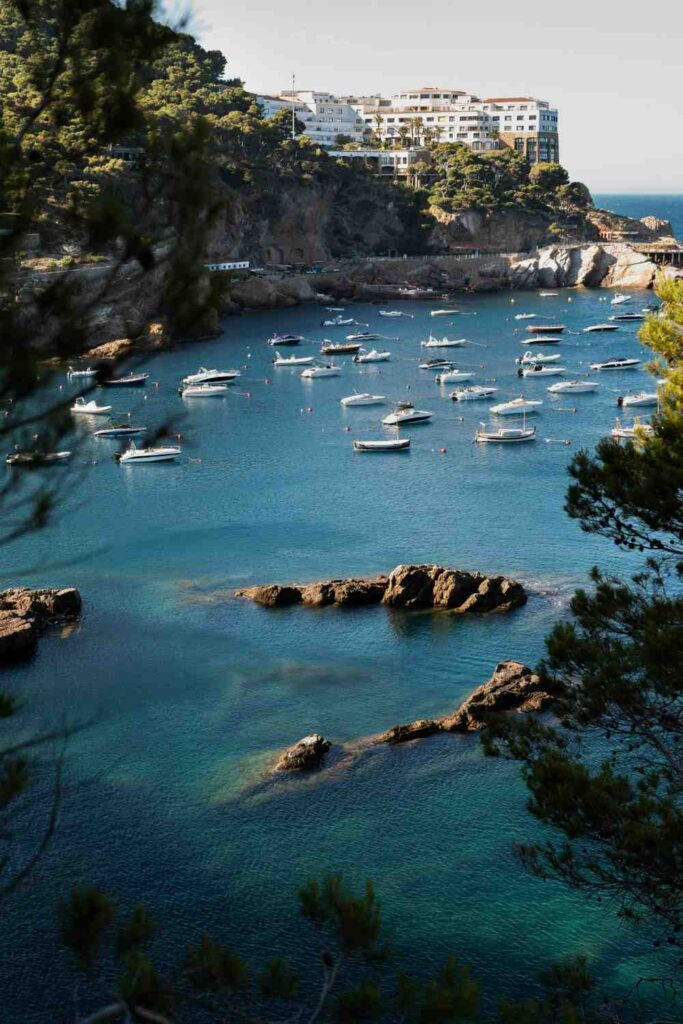 que faire à saint tropez