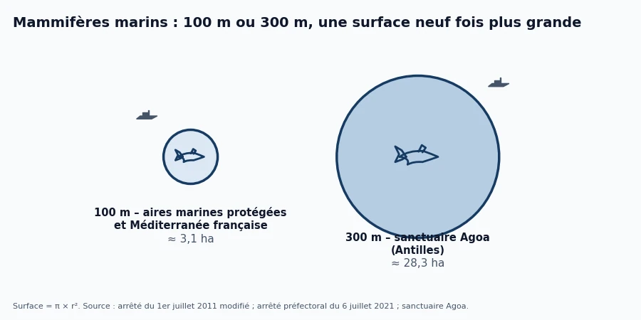 Infographie comparant la zone d'approche interdite de 100 mètres en aire marine protégée et de 300 mètres dans le sanctuaire Agoa
