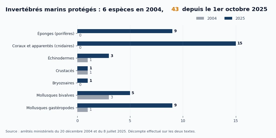 Infographie comparant le nombre d'invertébrés marins protégés par groupe en 2004 et en 2025, de 6 à 43 espèces